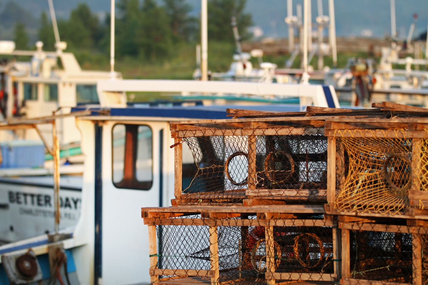 Nine Mile Creek Wharf Close up of traps and lobster boats at Nine Mile Creek Wharf
