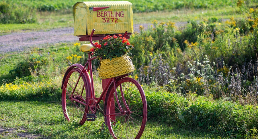 Baldwin Road, mailbox, bike, flowers Baldwin Road, mailbox, bike, flowers