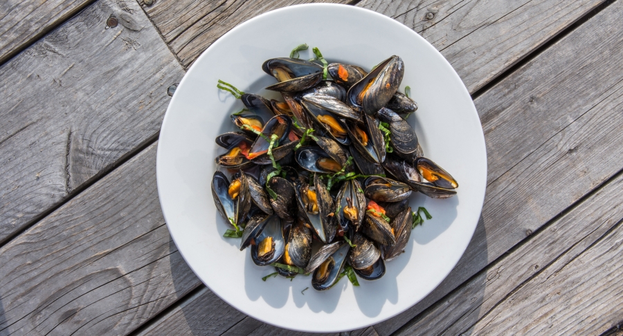Lobster-House, Mussels, flat lay Lobster-House, Mussels, flat lay