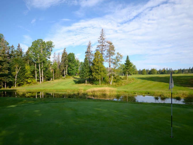 Forest Hills Disc & Golf Course