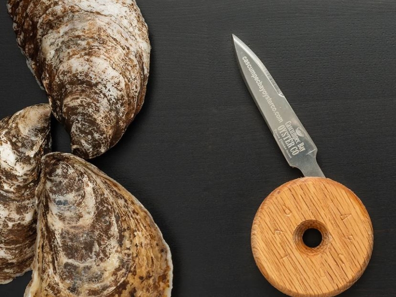 Cascumpec Bay Oyster Co Banjo Oyster Knife and three oysters