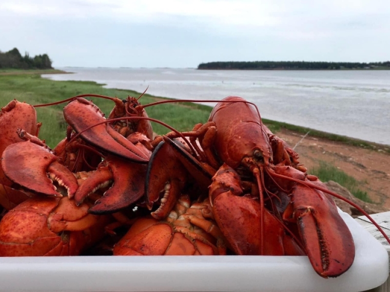 Carr's Oyster Bar & Restaurant