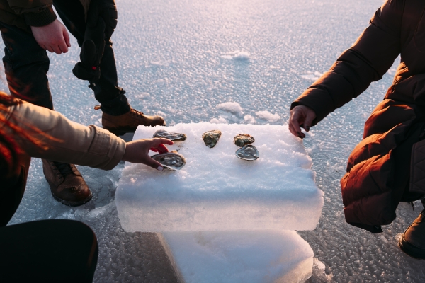 Three people hover over oysters served on ice block outdoors